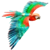 Metal Earth Iconx - Parrot 2 Metal Earth Iconx - Parrot -Toy Shop 2659