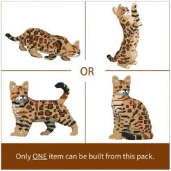 Jekca - Bengal Cat 4 In 1 Pack